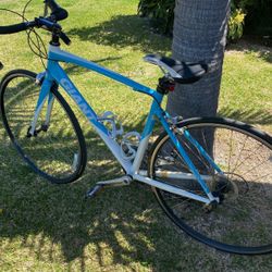 Giant Bike