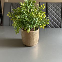 Fake Potted Plant.
