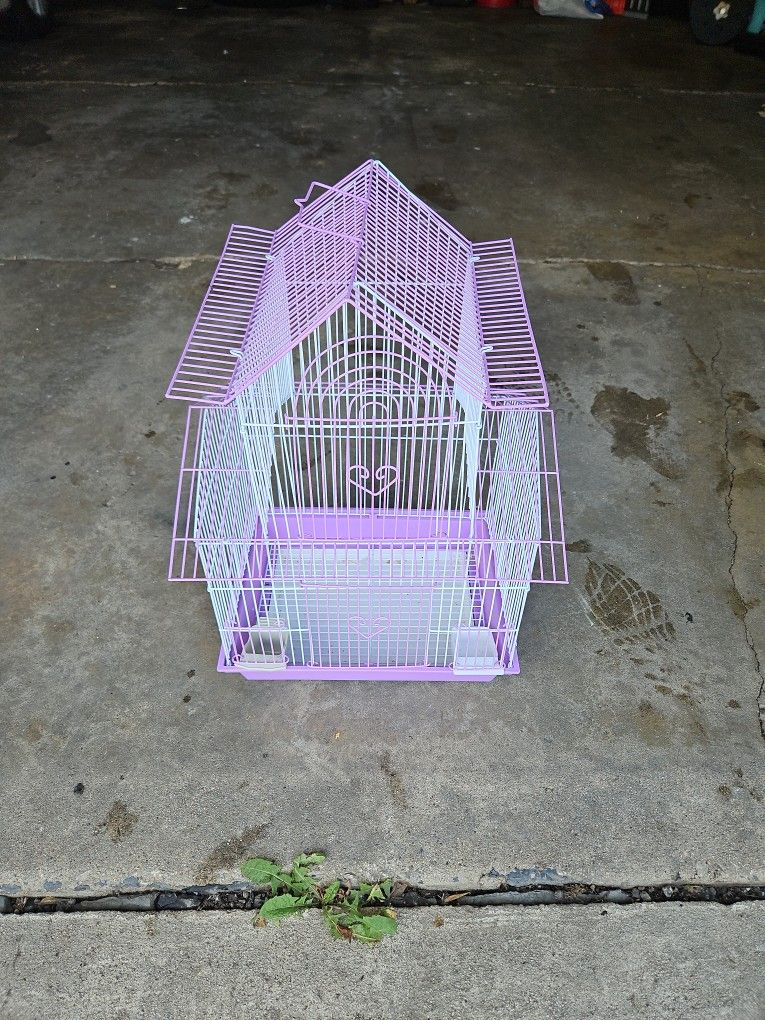 Bird Cage 