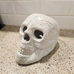 Ceramic Skull