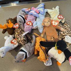 13 Ty Teenie Beanie Babies