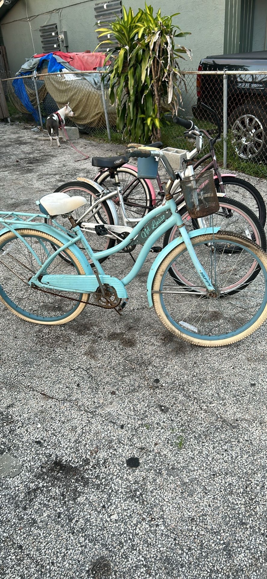 Cheap CRUISERS $20 Each