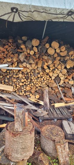 Firewood The bamboo walking sticks