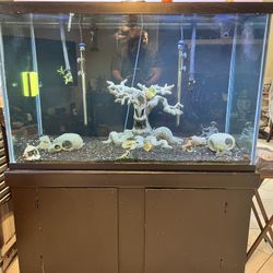 Fish Tank Sale $600.00