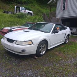 2000 Ford Mustang