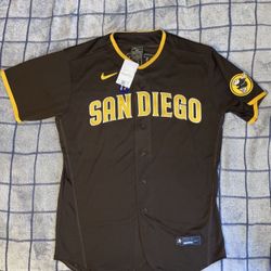 Nike San Diego Padres Fernando Tatis Jr Authentic Jersey 