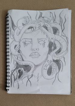 Teenage Artist Needs Money For A Car