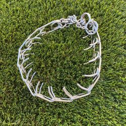 Prong Collar , Medium