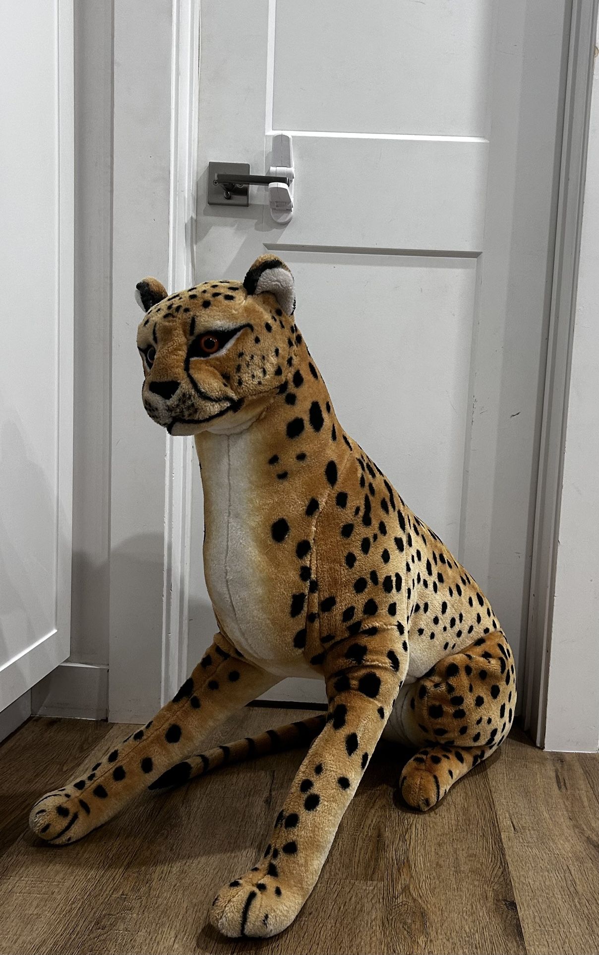 Giant Cheetah
