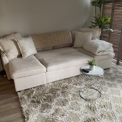 New Couch w/ Sofa Bed