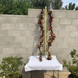 🍂ARTIFICIAL 🍂Magnolia Branches 🍂6 Feet Each 🍂 X - 2 🍂 Like New 