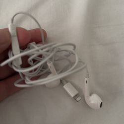 Apple Wired Earphones 