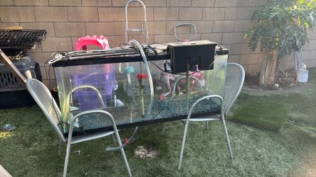 3ft Tank For Fish Or Reptiles