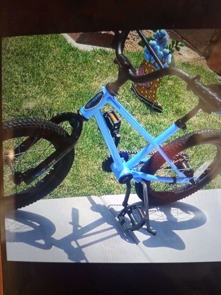 Schwinn