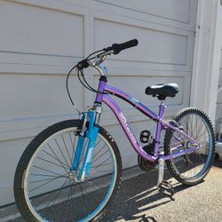 24" Schwinn Atlas Teenager Bike