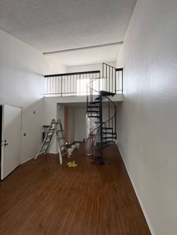 Painter 19