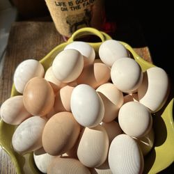 Fresh Eggs By The Dozen