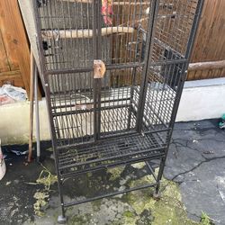 Cage For Parrot 