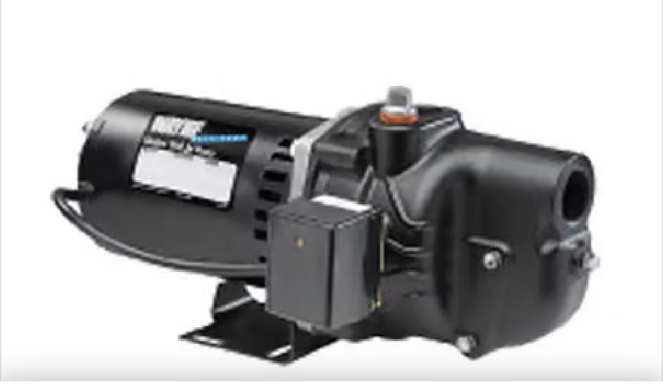Brand New Wayne 3/4 Hp