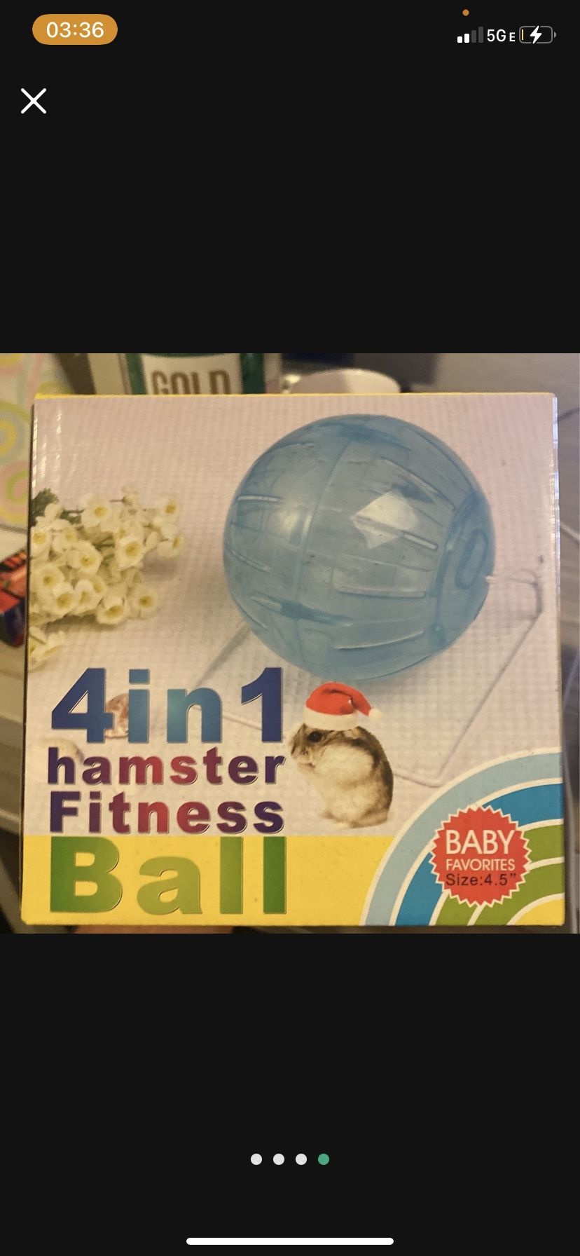 Hamster Fitness Ball