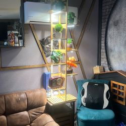 Bamboo Plant Assorted With Lights