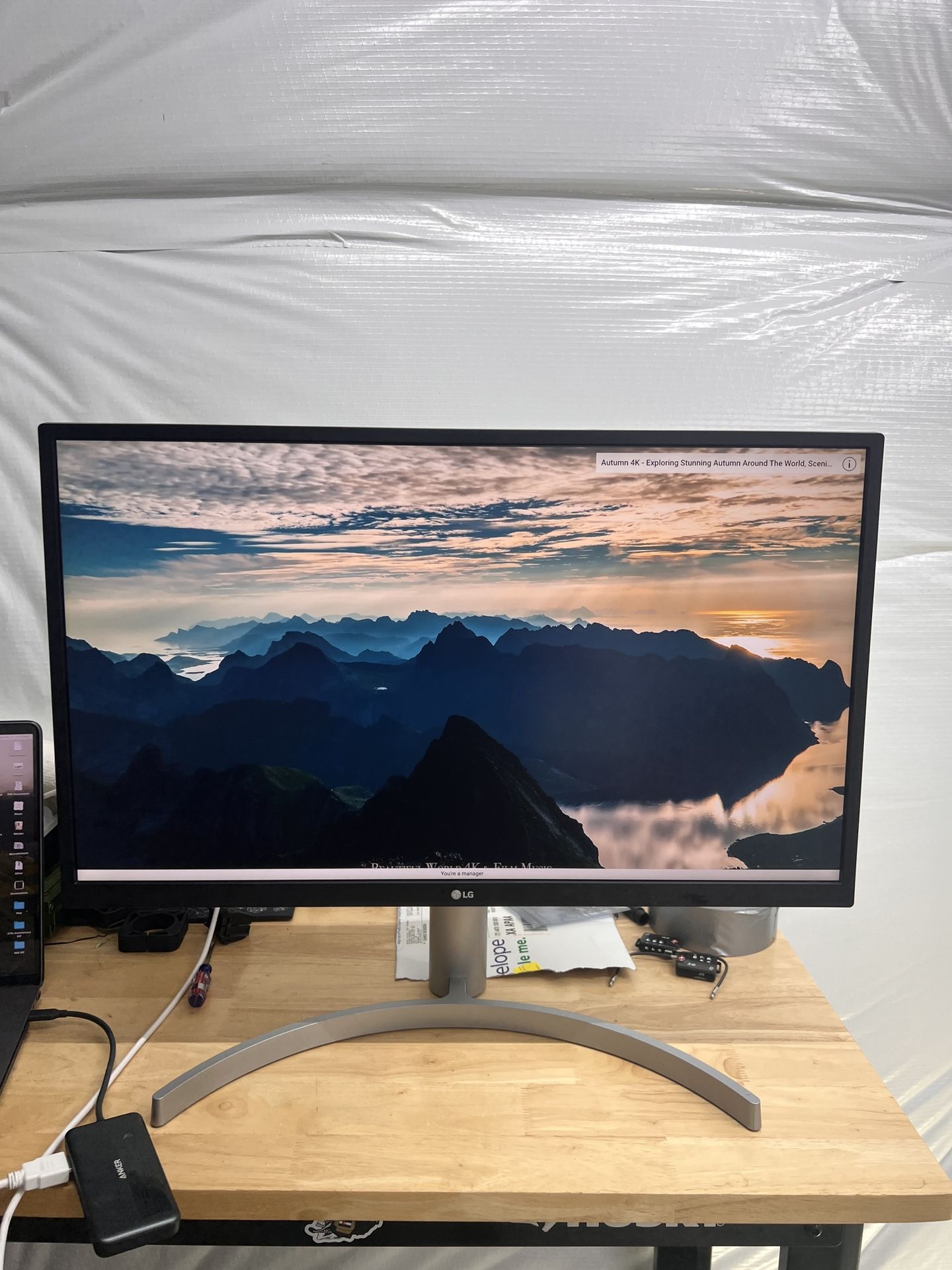 LG 4K Monitor - UL550-W
