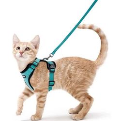 Cat Harness And Leah New 