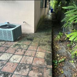 Mold And Algae Removal 