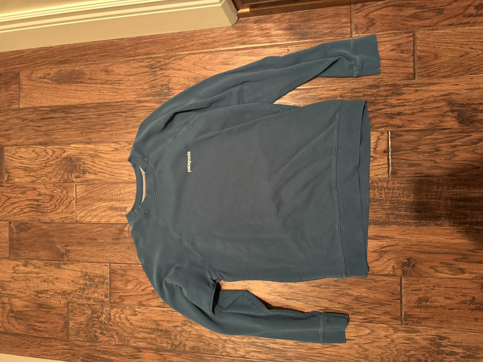 Blue Patagonia Crewneck