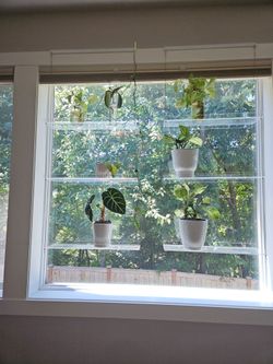 Hanging Acrylic Shelves 3 shelves, 22 in. W x 42"tall