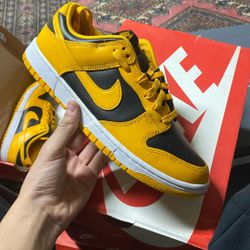 Nike Dunk 9.5