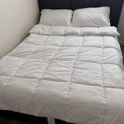 Bed Frame 