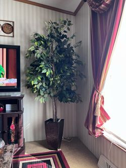 Household 7foot Indoor Tree