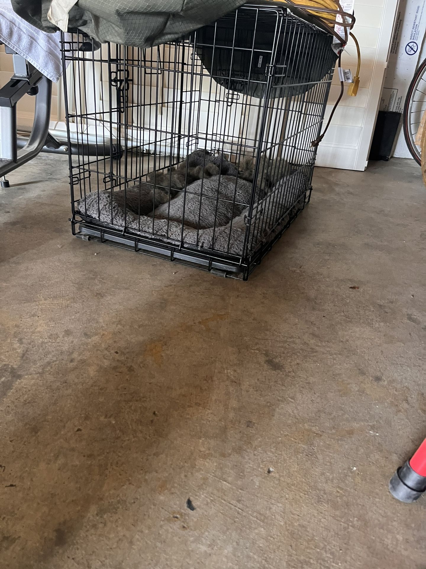 Small Dog Crate NEW