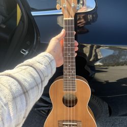 Ukulele 
