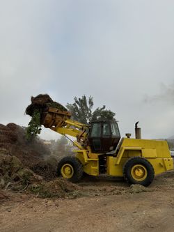Case W30 Loader