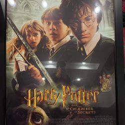 Vintage Collectible Harry Potter Movie Poster 