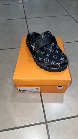 Louis Vuttion Slides
