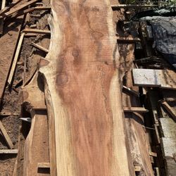 Redwood Slab