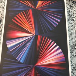 iPad Pro 12.9 inch Wifi-Cellular