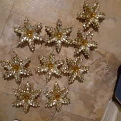estrellas navidenas