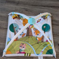 Infant Playmat