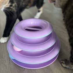 Cat Toys