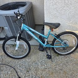 Bike Huffy Boys 20" $10 only
