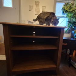 Solid Wood TV Stand