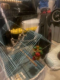 Pagoda style blue birdcage