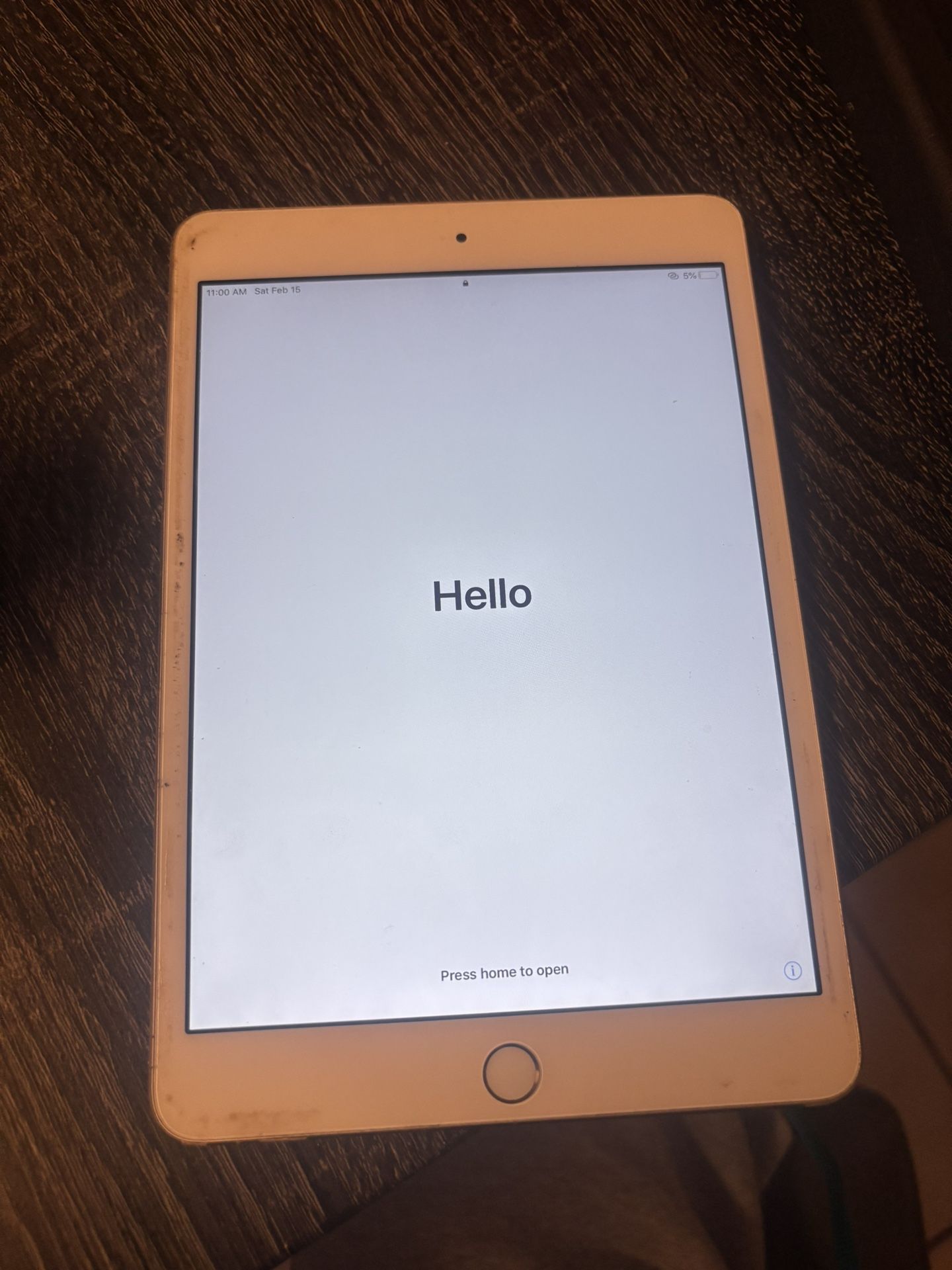 Ipad Mini 3