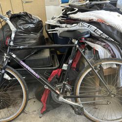 Bike (Shasta Saddleback)