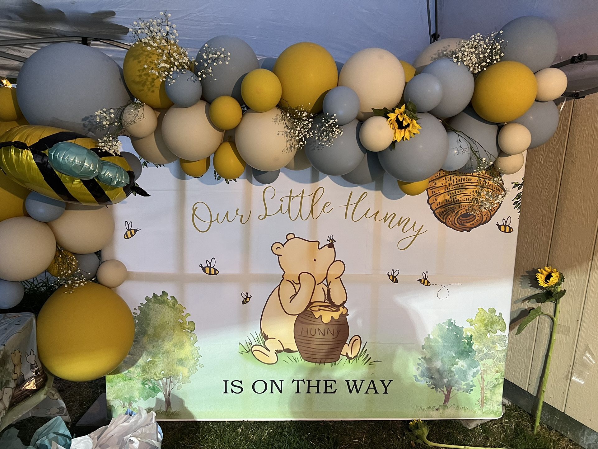 Classic Winnie The Pooh Backdrop