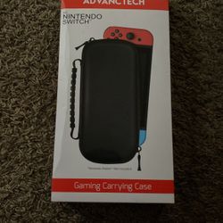 Nintendo Carrying Case 